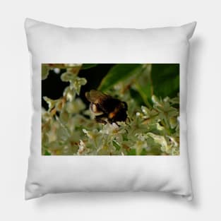 Bumble Bee Pillow