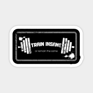 Train Insane Or Remain The Same 2 Magnet