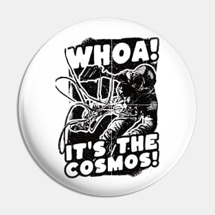 Whoa! It's the Cosmos! Pin