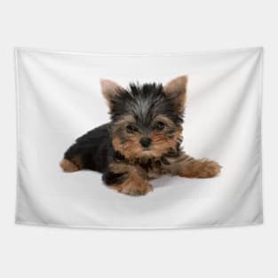 Yorkshire Terrier Digital Painting Tapestry