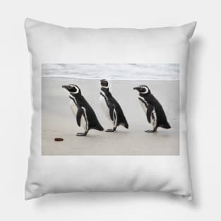 Magellanic Penguins on the Beach Pillow