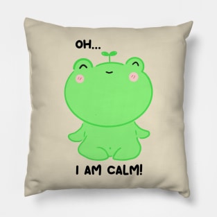 Oh.. I am calm! Calm as a frogie Pillow