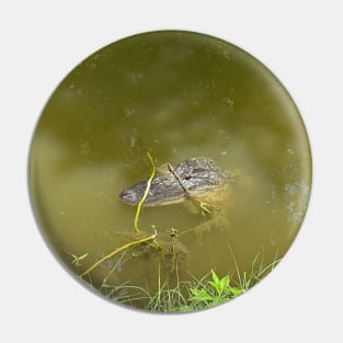 Alligator Pin