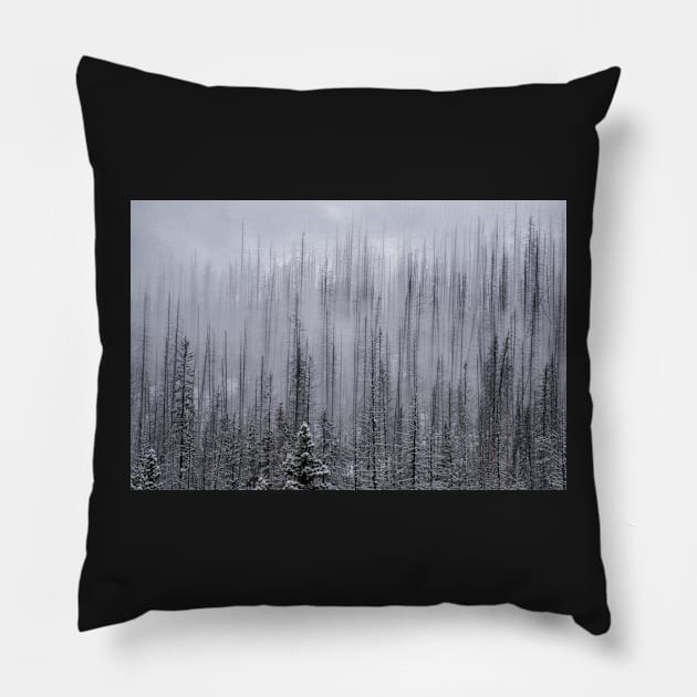 Eerie Pillow by krepsher