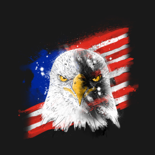 Disover the eagle - Patriotic - T-Shirt