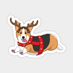 Cute Black & Tan Corgi in Christmas Reindeer Costume Magnet