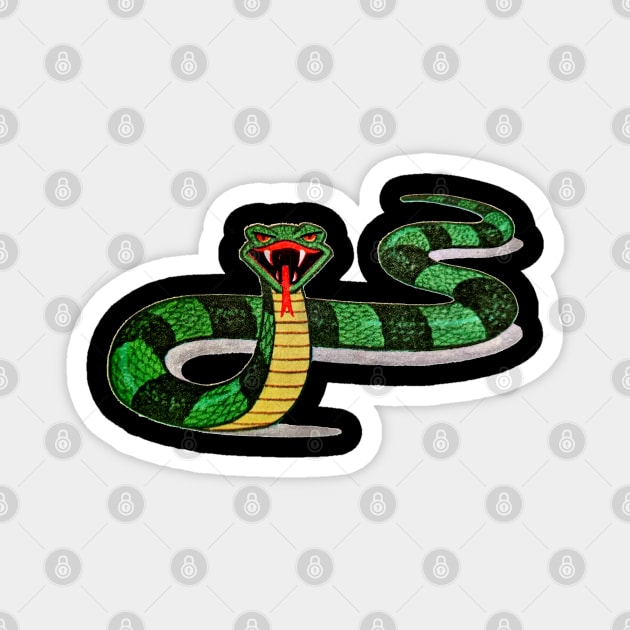 Snake Magnet by PopGraphics