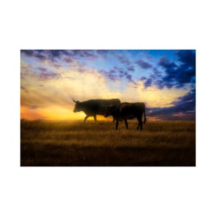 Pair Of Cows At Sunset photograph T-Shirt