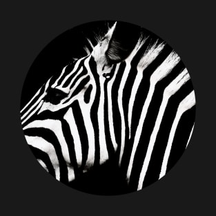 Zebra  - in a circle T-Shirt