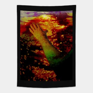 Digital collage and special processing. Ugly close up, amazing on distance. Mesmerizing. Hand, view. Life and death. Darker. Tapestry