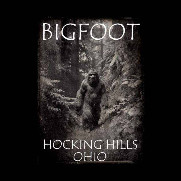 Bigfoot Hocking Hills Ohio by BarrySullivan