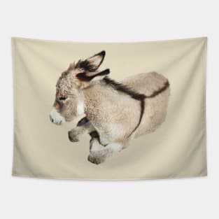 Wild burro, donkey, wildlife, Cutie Pie Tapestry