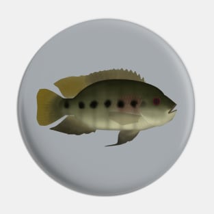 Spotted Tilapia Pin