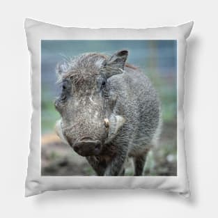 Warthog 003 Pillow