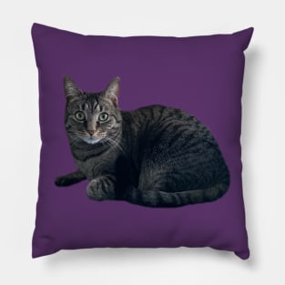 Tabby Cutie Pillow