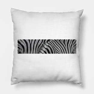 Zebra animal print in panorama. Pillow