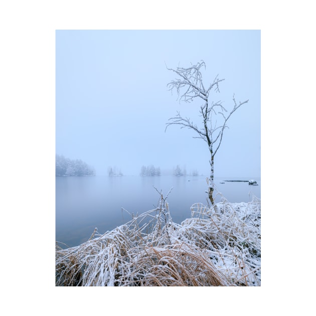 Calm lake landscape at winter by Juhku