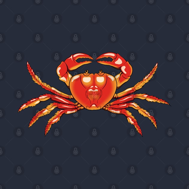 Crab isolated illustration by TMBTM