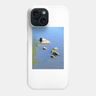 Sloan Lake Study 1 Phone Case