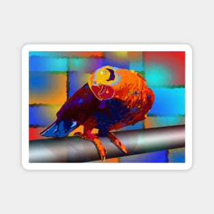 Tropic parrot bird Magnet