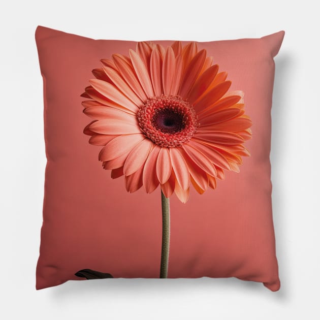 Elegant Coral Gerbera Daisy Pillow by 026PrintableArt