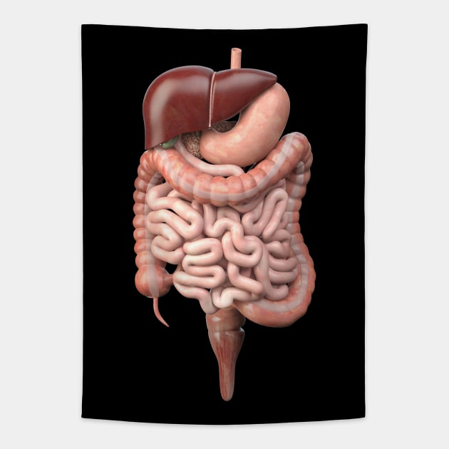 Digestive system Tapestry by AviToys