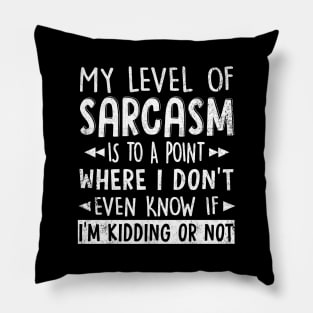 My level of sarcasm has gotten to the point where I don't even know if I'm kidding or not T Shirt Graphic Novelty Sarcastic Funny Pillow