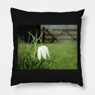 Fritillaria Meleagris Alba Pillow