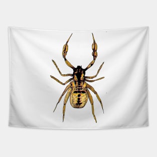 Pseudoscorpion 1 Tapestry