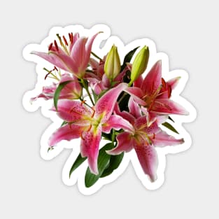 Pink Lily Flowers Magnet