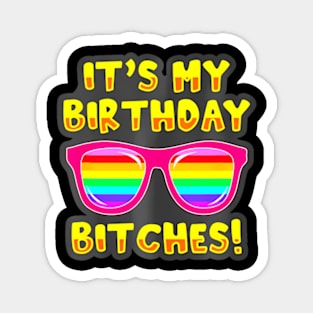 LGBTQIA+ It's My Birthday Bitches Pride  Men Women Magnet