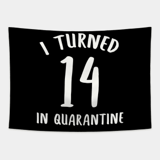 I Turned 14 In Quarantine Tapestry