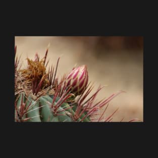 Closeup of Bud on Barrel Cactus T-Shirt