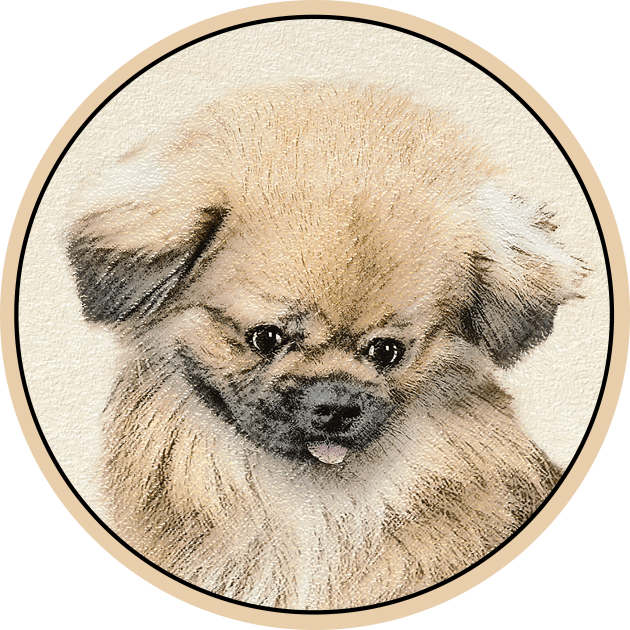 Pekingese Kids T-Shirt by Alpen Designs