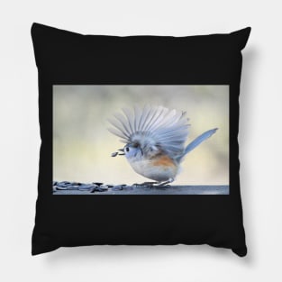 Feathered Fan Pillow