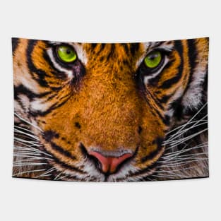 Tiger Face Tapestry