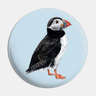 Puffin on a blue background Pin