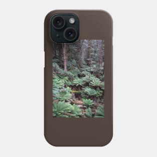 Tree ferns on forest floor. Phone Case