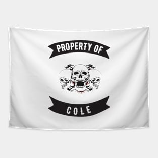 Cole Property Patch Tapestry