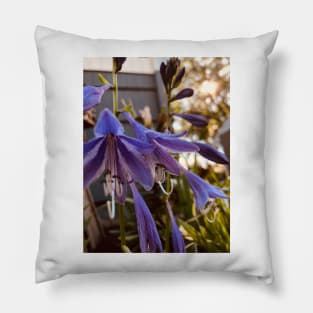 Periwinkle Haze Pillow