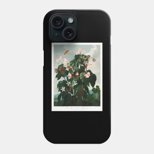 The Oblique-leaved Begonia Phone Case