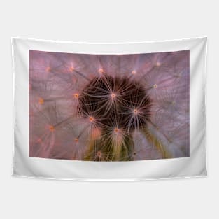 Dandelion 2 Tapestry