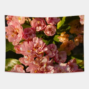 Common Hawthorn Flowers Tapestry