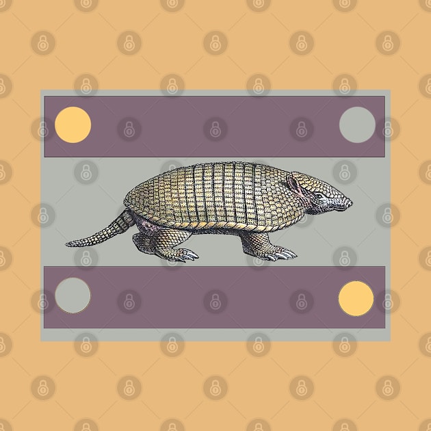 Armadillo by Marccelus