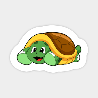 Turtle with Shell as Blanket Magnet