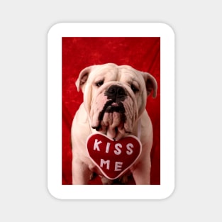 English Bulldog Magnet