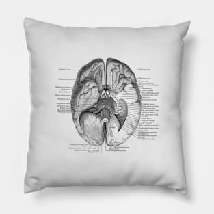 Brain Nervous System Diagram - Vintage Anatomy Pillow