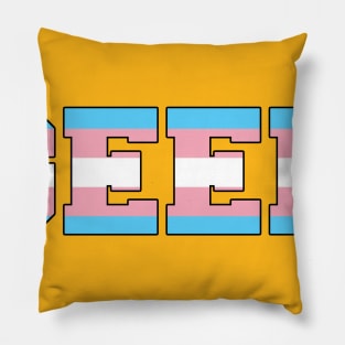 GEEK Transgender Pillow