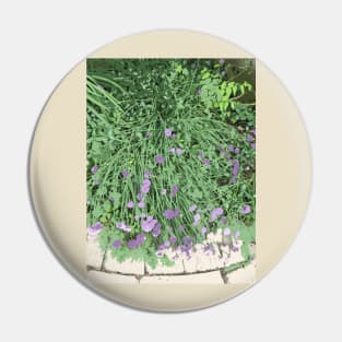 Painted Chives, green purple beige, digitally modified photography Pin