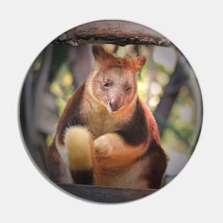 Tree Kangaroo Pin